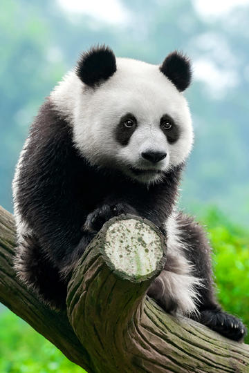 启航数字文明